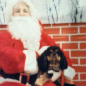 Meet your Posher, Cheryl